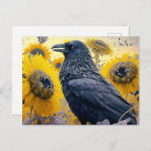 ひまわり畑にレイベン ポストカード (正面/裏面)