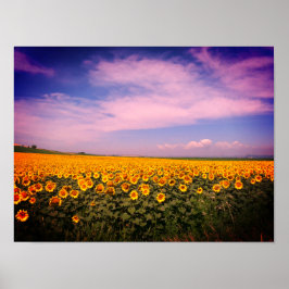 ひまわり畑に着色されたポスター ポスター