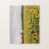 ひまわり畑の写真 ジグソーパズル (縦)