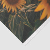ひまわり畑の切り離 薄葉紙 (詳細)