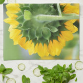 ひまわり畑キッチンタオル キッチンタオル (折り畳み)