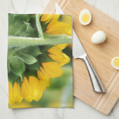 ひまわり畑キッチンタオル キッチンタオル (四つ折り)