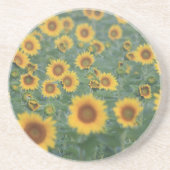 ひまわり畑サンドストーンコースター コースター (正面)