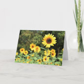 ひまわり畑ハッピーバースデーグリーティングカード カード (正面)