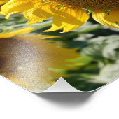 ひまわり畑プリント フォトプリント            (角)