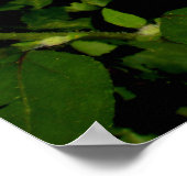 ひまわり畑ポスター ポスター (角)