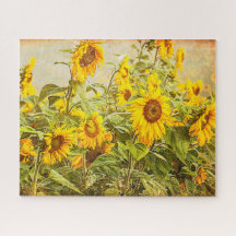 ひまわり畑ヴィンテージアンティーク黄フローラ