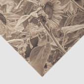 ひまわり畑ヴィンテージセピアトーンデクページ 薄葉紙 (詳細)