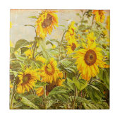 ひまわり畑ヴィンテージブライトイエローカントリーアート タイル (正面)