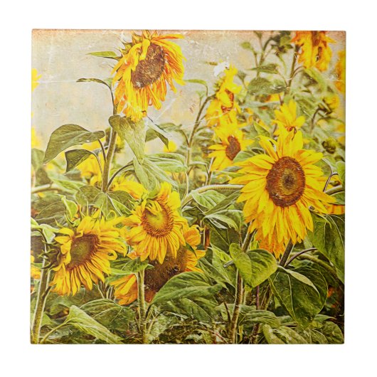 ひまわり畑ヴィンテージブライトイエローカントリーアート タイル (正面)