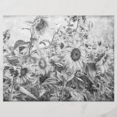 ひまわり畑ヴィンテージ白黒の切り離 (正面)