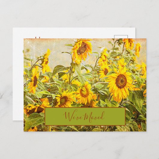 ひまわり畑ヴィンテージ移動した黄色い移動 ポストカード (正面/裏面)