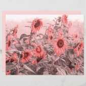 ひまわり畑ヴィンテージ赤面ピンクグレーデクページ (正面/裏面)