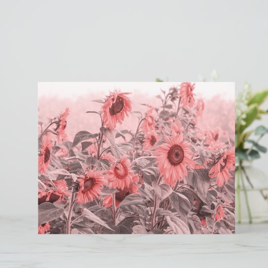 ひまわり畑ヴィンテージ赤面ピンクグレーデクページ (スタンド正面)