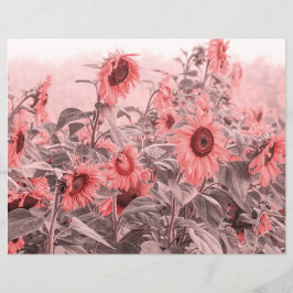 ひまわり畑ヴィンテージ赤面ピンクグレーデクページ