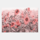 ひまわり畑ヴィンテージ赤面ピンクグレーデクページ ラッピングペーパーシート (正面)