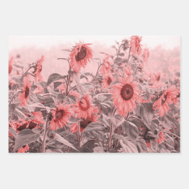 ひまわり畑ヴィンテージ赤面ピンクグレーデクページ ラッピングペーパーシート