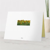 ひまわり畑勇気付けられる カード (裏面)