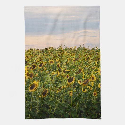 ひまわり畑夕べ灯 キッチンタオル (縦)