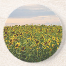 ひまわり畑夕べ灯 コースター