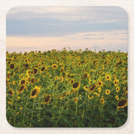 ひまわり畑夕べ灯 スクエアペーパーコースター