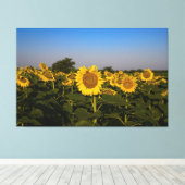 ひまわり畑 キャンバスプリント (インサイチュ (ウッドフロア))