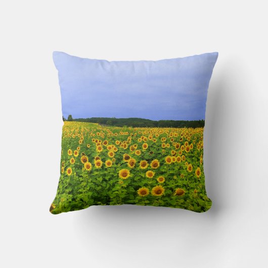 ひまわり畑 クッション (裏面)