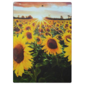 ひまわり畑 クリップボード (裏面)
