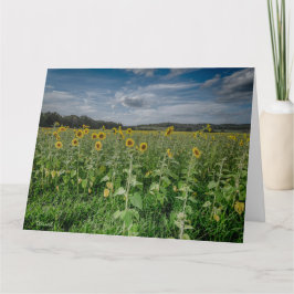 「ひまわり畑」 サンキューカード