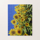 ひまわり畑 ジグソーパズル (縦)