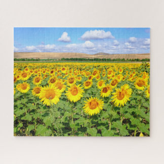 ひまわり畑 ジグソーパズル