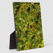 ひまわり畑 フォトプラーク (側面)