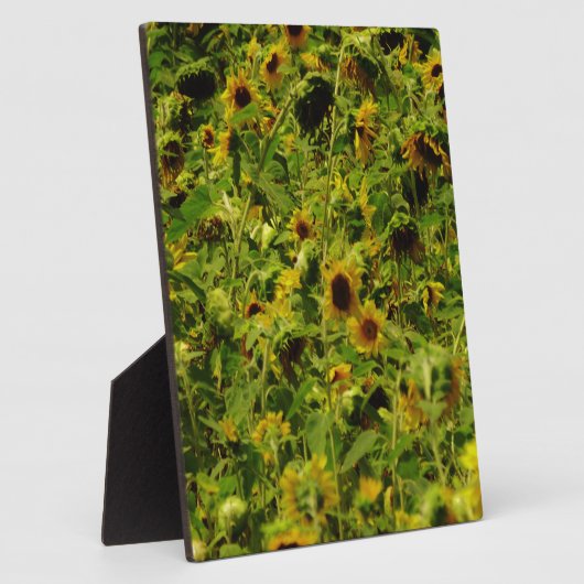 ひまわり畑 フォトプラーク (側面)