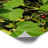 ひまわり畑 ポスター (角)