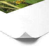 「ひまわり畑」 ポスター (角)