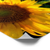 ひまわり畑 ポスター (角)