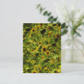 ひまわり畑 ポストカード (スタンド正面)