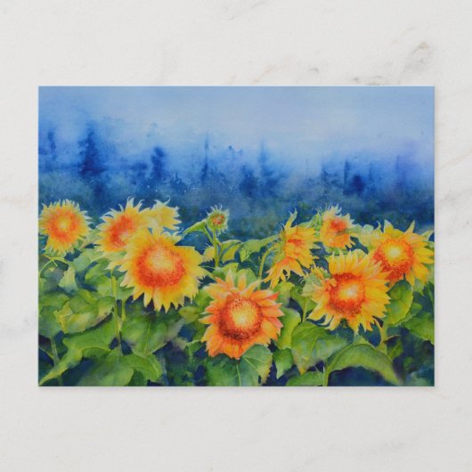 ひまわり畑 ポストカード (正面)
