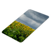 ひまわり畑。 マグネット (左側)