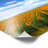 ひまわり畑 – 写真の拡大 フォトプリント            (角)
