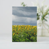 ひまわり畑。磁石 (スタンド正面)