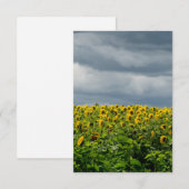 ひまわり畑。磁石 (正面/裏面)