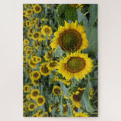 ひまわり畑 – 20 x 30インチ ジグソーパズル (縦)