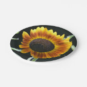 ひまわり白熱［赤熱］光を放つ紙プレート ペーパープレート (アングル)