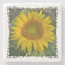 ひまわり石コースター ストーンコースター