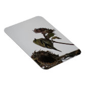 ひまわり磁石のゴシゴシゴシゴシ マグネット (右側)