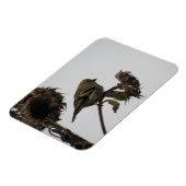 ひまわり磁石のゴシゴシゴシゴシ マグネット (左側)