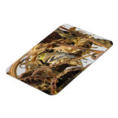 ひまわり磁石付き金魚 マグネット (左側)