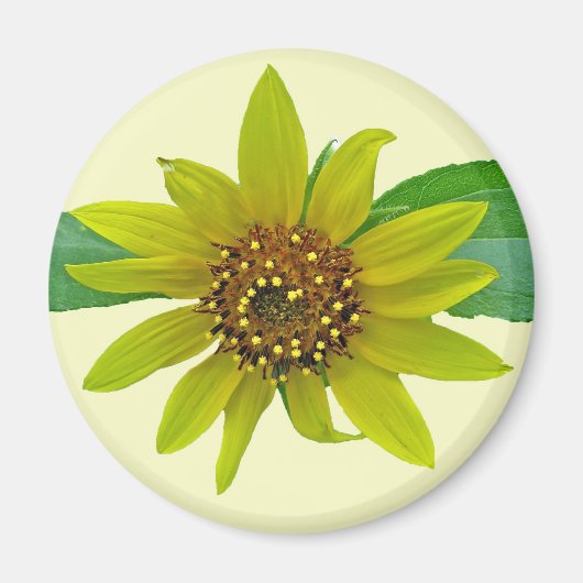 ひまわり磁石 マグネット (正面)