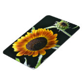 ひまわり磁石 マグネット (左側)